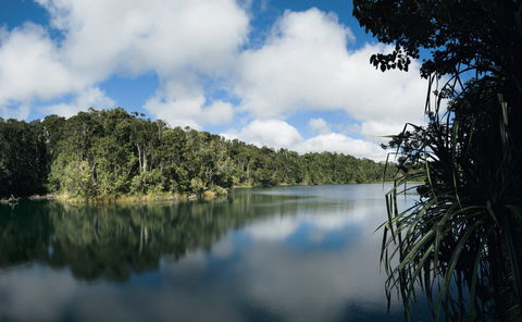 Lake Eacham, Crater Lakes National Park - Tourism Brisbane 0