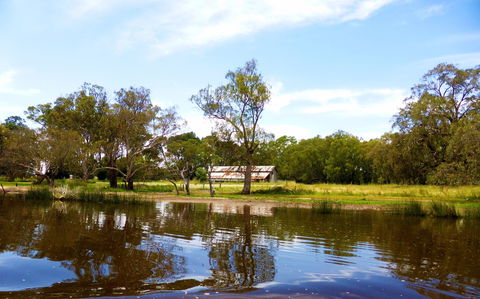 Lilac Hill Park - Brisbane Tourism 0
