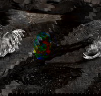 Matthew Ely - Brisbane Tourism