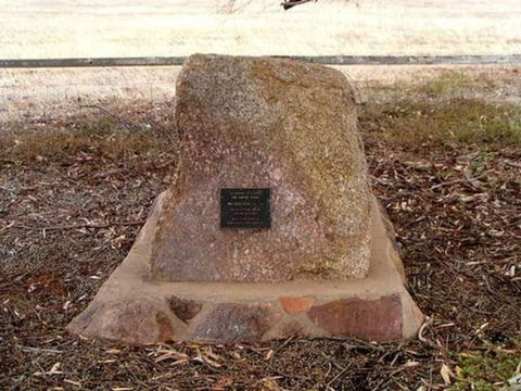 May Gibbs Tree - Brisbane Tourism 0