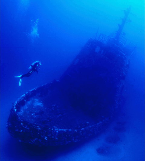 Merimbula Divers Lodge - Tourism Brisbane 0