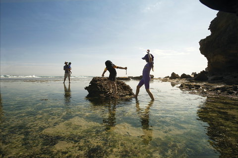 Mornington Peninsula National Park - Brisbane Tourism 2