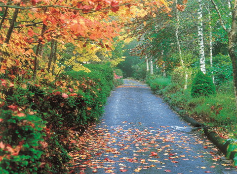 Mount Wilson And Mount Irvine - Brisbane Tourism 0