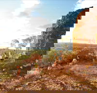 Natural Sciences Loop - Tourism Brisbane