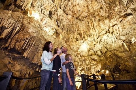 Ngilgi Cave - Tourism Brisbane 1