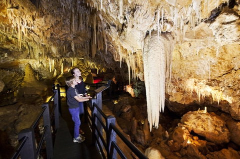Ngilgi Cave - Tourism Brisbane 2