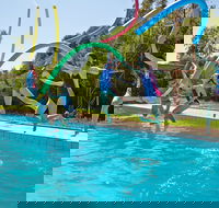 Oaklands War Memorial Swimming Pool - Brisbane 4u