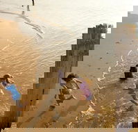 Phillip Island - Tourism Brisbane