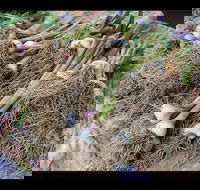 Queanbeyan Park Market - Brisbane Tourism