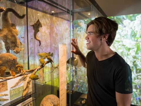 Queensland Museum - Tourism Brisbane 0