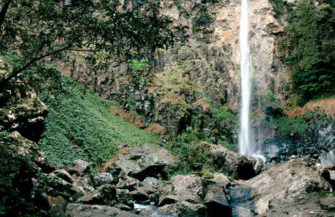 Rawson Falls Walk - Brisbane Tourism 0