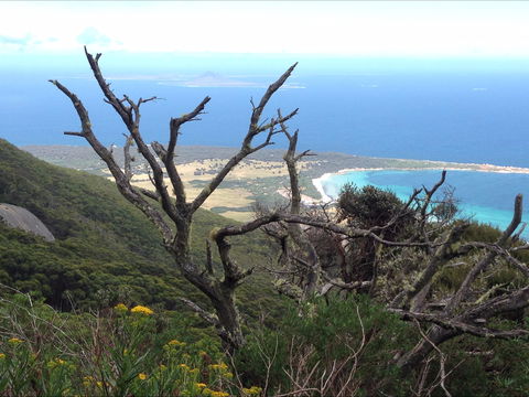 Strzelecki Peaks Great Short Walk - Tourism Brisbane 0