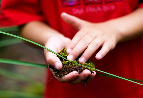 Strickland State Forest - Tourism Brisbane 1