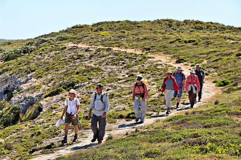 The Sole Walk At Hillocks Drive - Tourism Brisbane 0