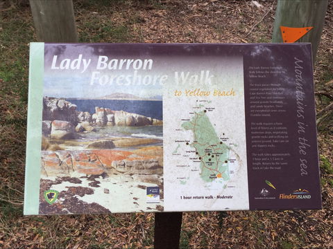 The Lady Barron Foreshore Walk - Tourism Brisbane 0