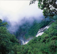 Tully Falls and Tully Gorge - Tourism Brisbane