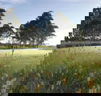 Twin Creeks Golf and Country Club - Tourism Brisbane
