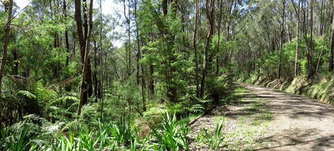 Tyers Park - Brisbane Tourism 0
