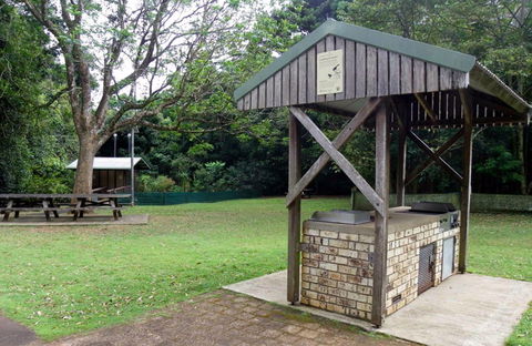 Victoria Park Picnic Area - Tourism Brisbane 0