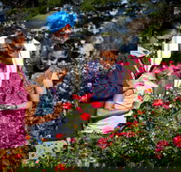 Victoria State Rose Garden at Werribee Park - Brisbane 4u