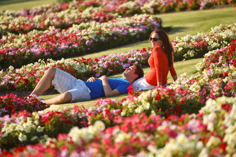 Victoria State Rose Garden At Werribee Park - Tourism Brisbane 1