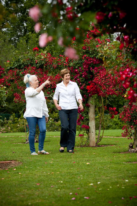 Victoria State Rose Garden At Werribee Park - Tourism Brisbane 2