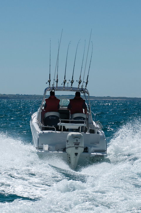Western Port - Brisbane Tourism 1