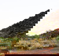 Whyalla Conservation Park - Brisbane 4u