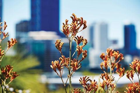 A Day In Perth - Tourism Brisbane 1