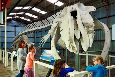 Albany's Historic Whaling Station - Tourism Brisbane 2