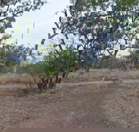 Alexander Forest Memorial - Tourism Brisbane