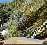 Anzac Avenue Memorial Trees Beerburrum - Tourism Brisbane