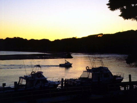 Apex Park Picnic Area Narooma - Tourism Brisbane 2