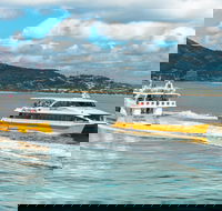 Apex Camps Magnetic Island Group Accommodation Activities and Events - Brisbane 4u