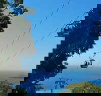 Arthurs Seat Eagle - Tourism Brisbane