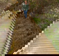 Balcombe Creek Estuary Boardwalk