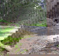 Bangadilly National Park - Brisbane Tourism