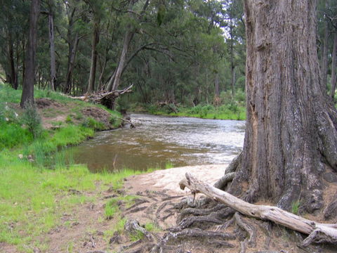Bangadilly National Park - Tourism Brisbane 0