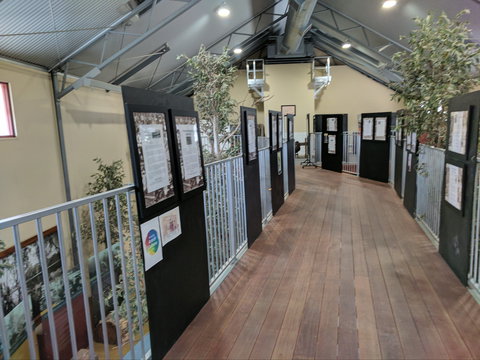 Barmah Forest Heritage And Education Centre - Nathalia - Tourism Brisbane 2