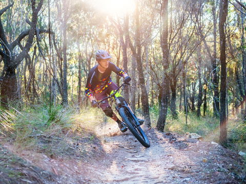 Bayview Conservation Area - Tourism Brisbane 0