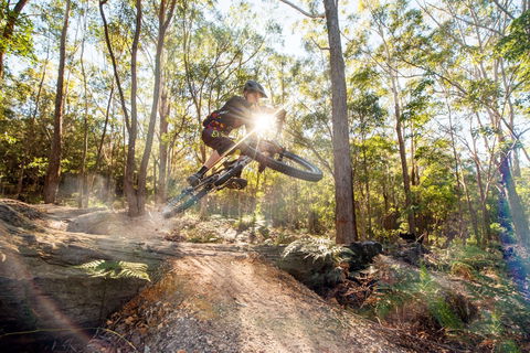 Bayview Conservation Area - Tourism Brisbane 2