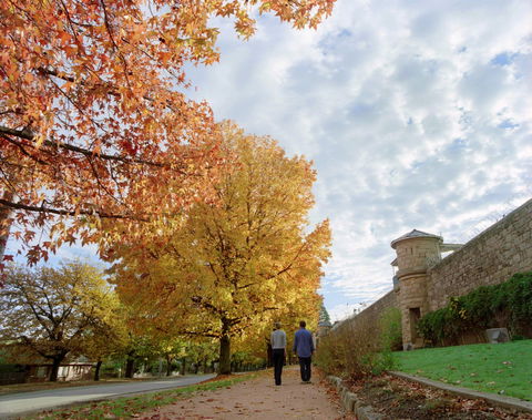 Beechworth - Tourism Brisbane 1