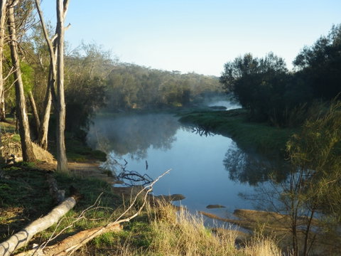 Bilya Walk Track - Tourism Brisbane 0
