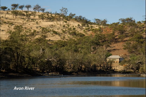 Bilya Walk Track - Tourism Brisbane 2