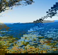Blackbutt Lookout Picnic Area - Brisbane Tourism
