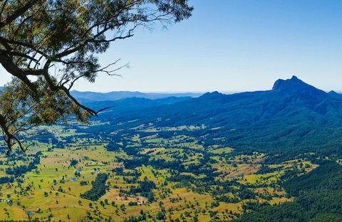 Blackbutt Lookout Picnic Area - Brisbane Tourism 0
