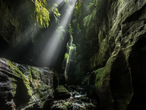 Blue Mountains Heritage Centre And Virtual Reality Experience - Brisbane Tourism 0