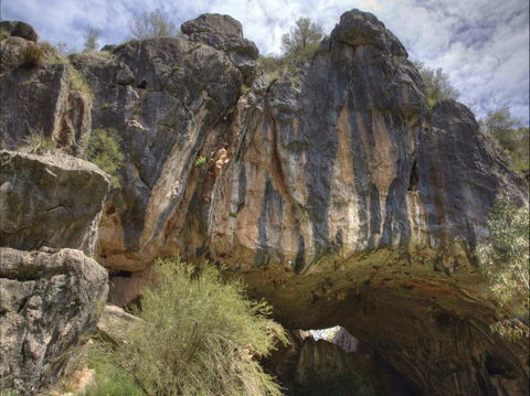 Borenore Karst Conservation Reserve - Tourism Brisbane 0
