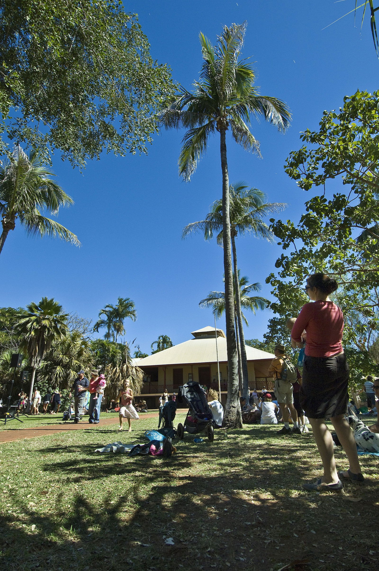 Roebuck WA Brisbane Tourism