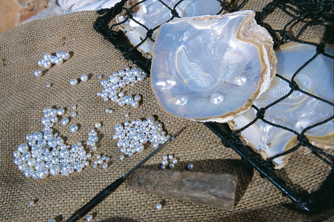 Broome Food And Heritage Trail - Brisbane Tourism 2